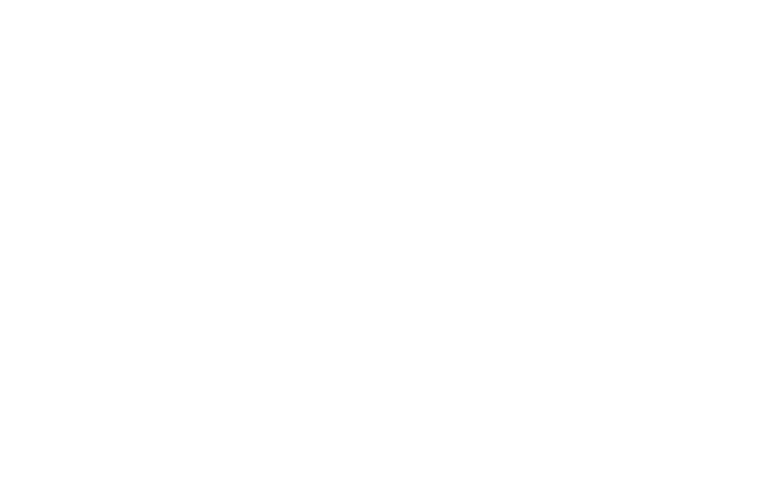 Logo MAE